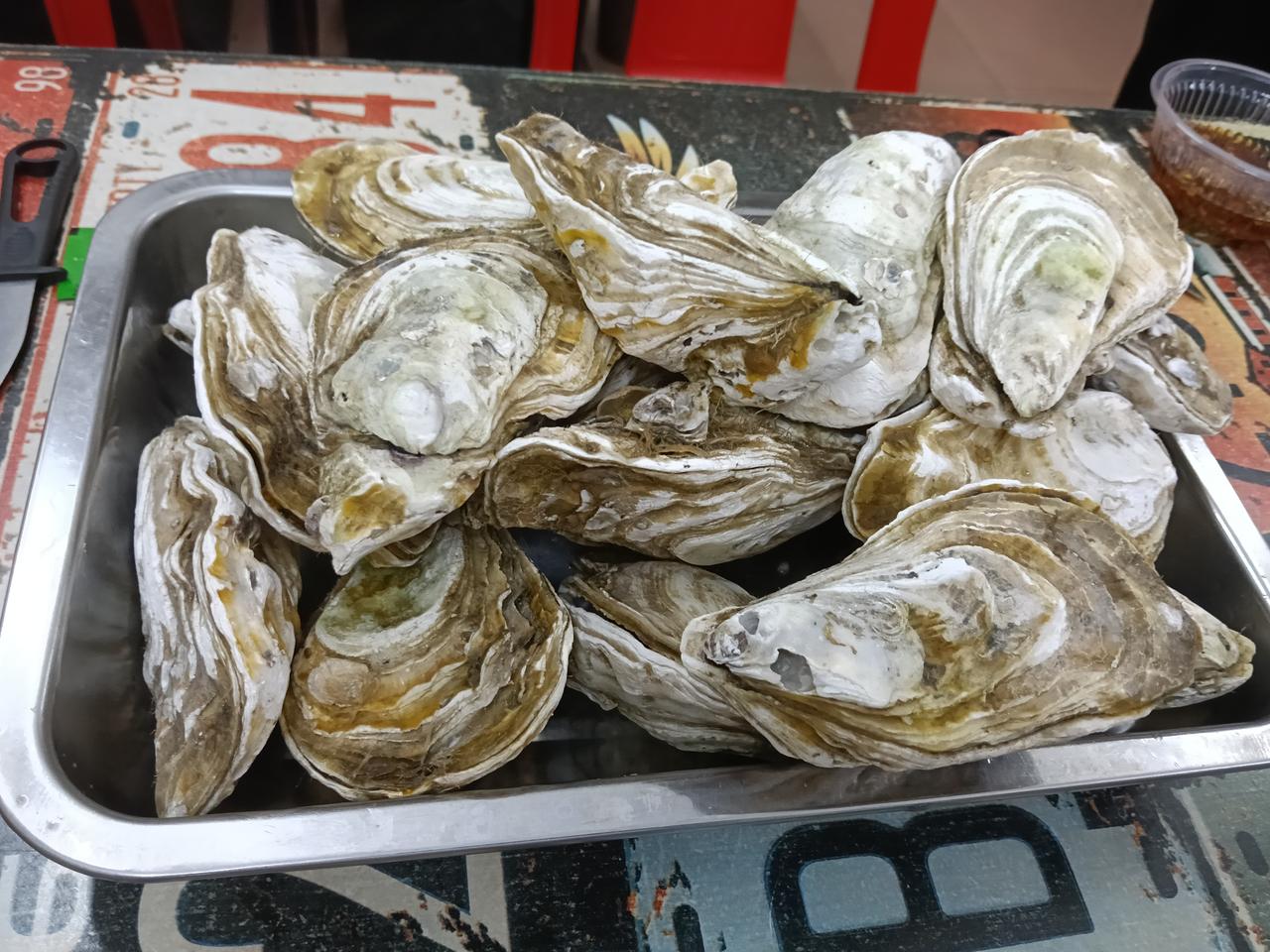 一盘子新鲜的生蚝，只只肥大，味道好极了。