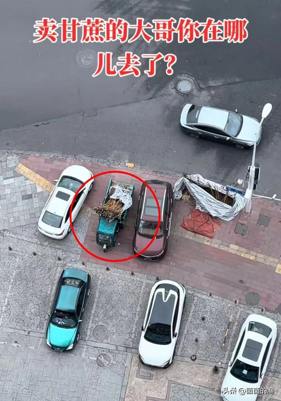 卖甘蔗的大哥，你去哪了？四川成都的李哥，最近因为楼下卖甘蔗的大哥火了。从过年到现