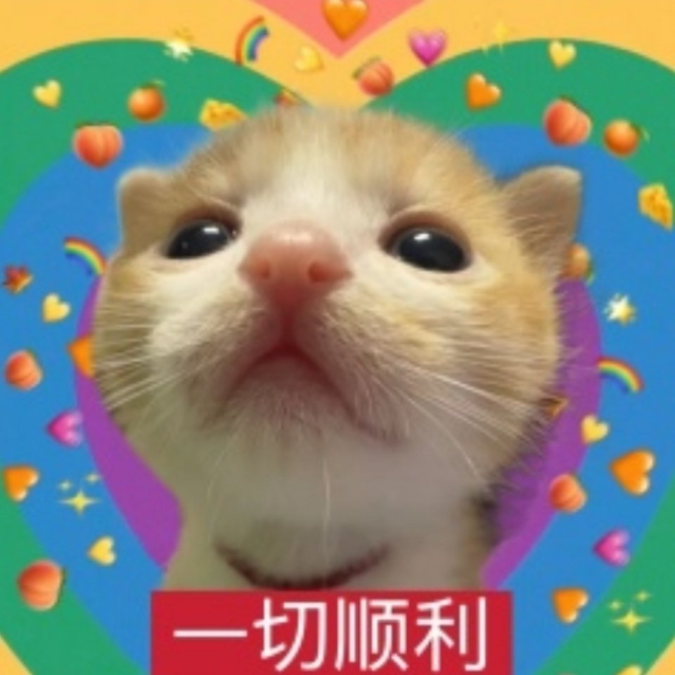 休赛期转会进行时 给大家抽一张随机拍立得或战队签名板㊗️所有选手转会顺利！集训顺