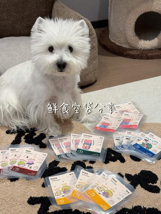 上班族家长进！小狗的鲜食空袋分享ᯅ̈.ᐟ