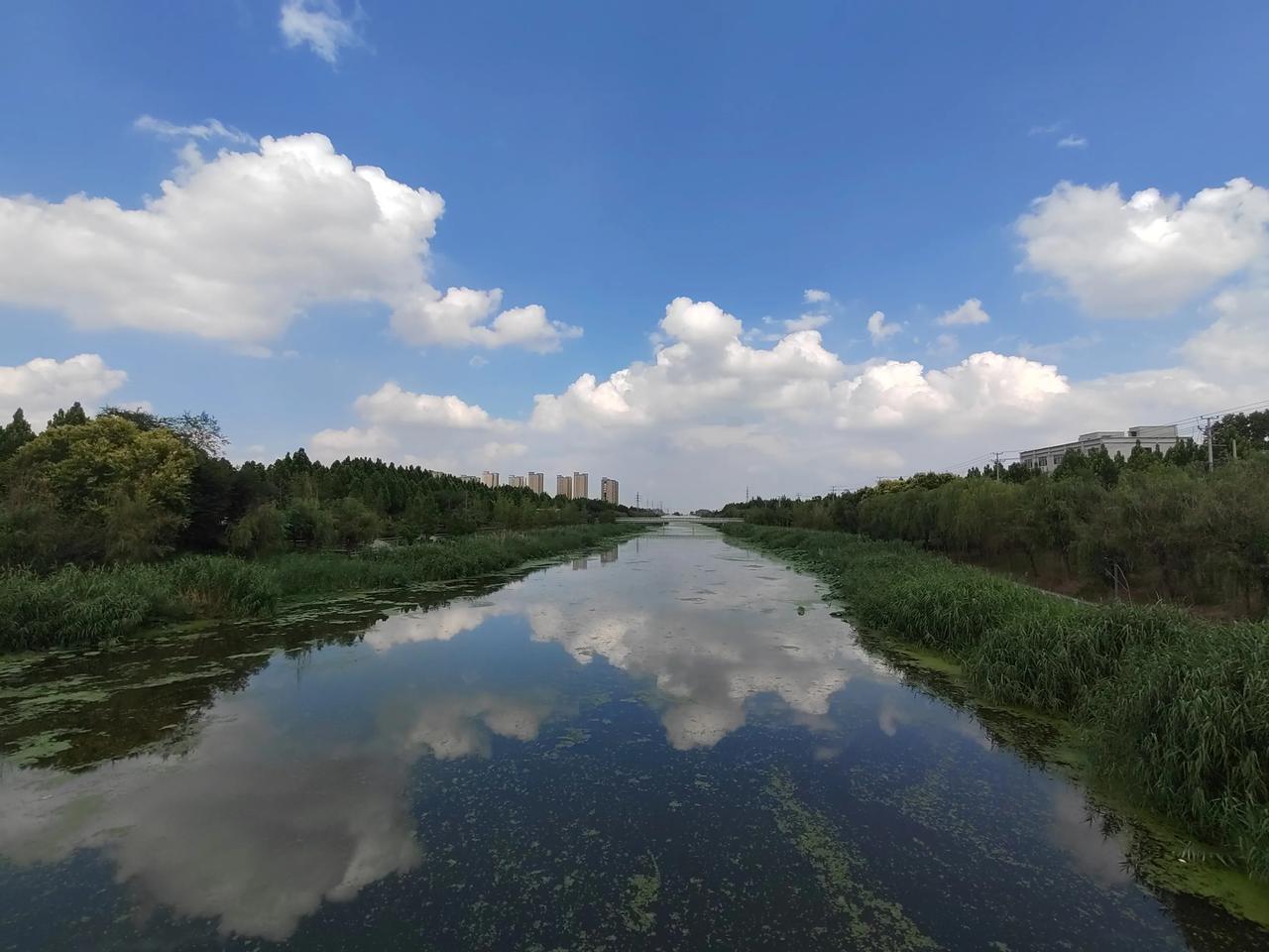 随手一拍的蓝天白云 刚刚出门，被眼前的蓝天白云美到，忍不住随手一拍。天空碧空如洗