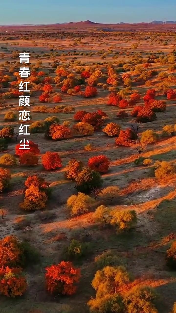 演唱：祖宁。
制片人：芙蓉传媒。
女人总是爱的那么深，到最后却伤得更深。女人总是