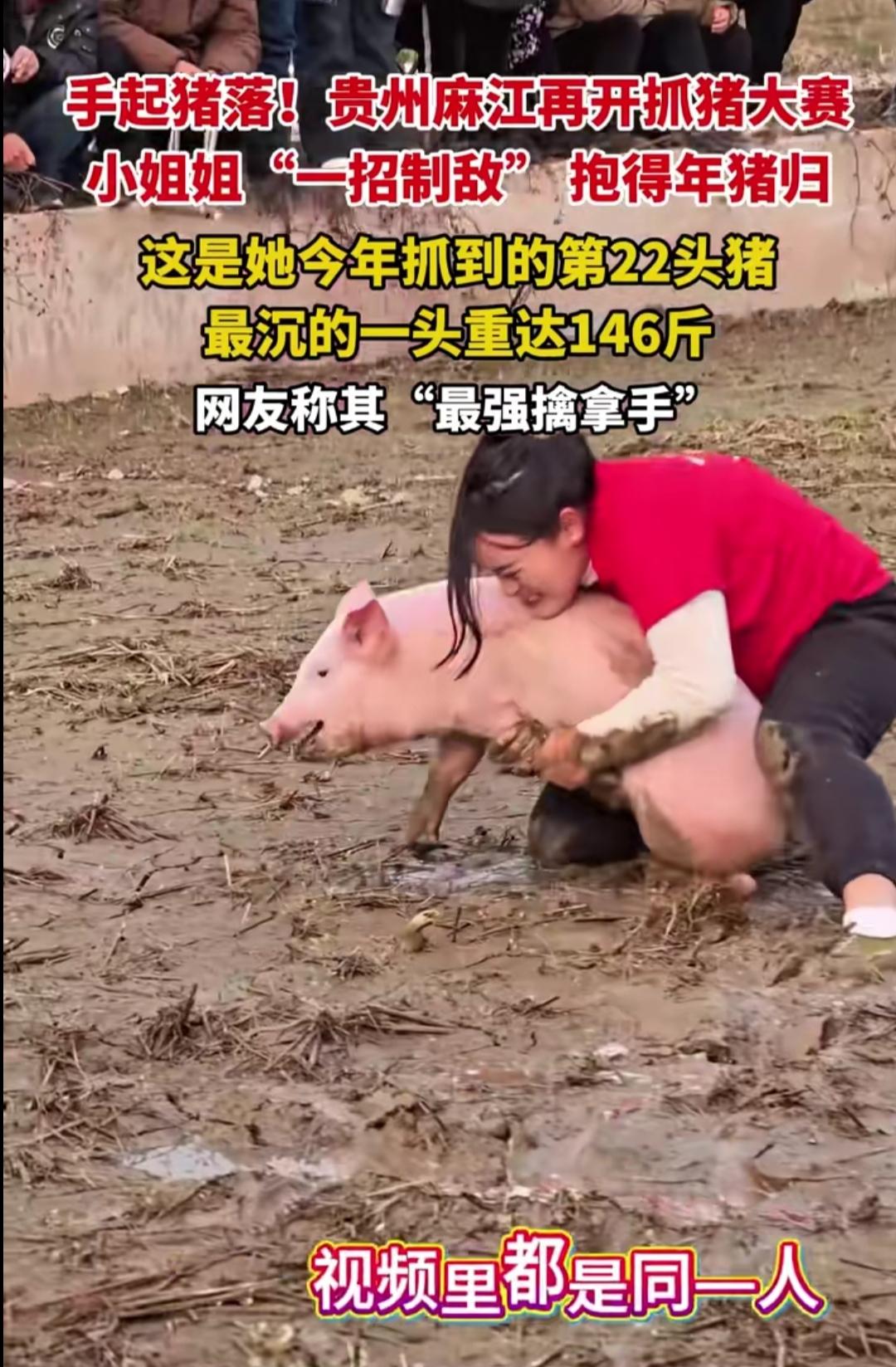 谁能想到，贵州麻江抓猪大赛的“天花板”，竟是31岁的本地姑娘文凤琴？她在泥地里飞