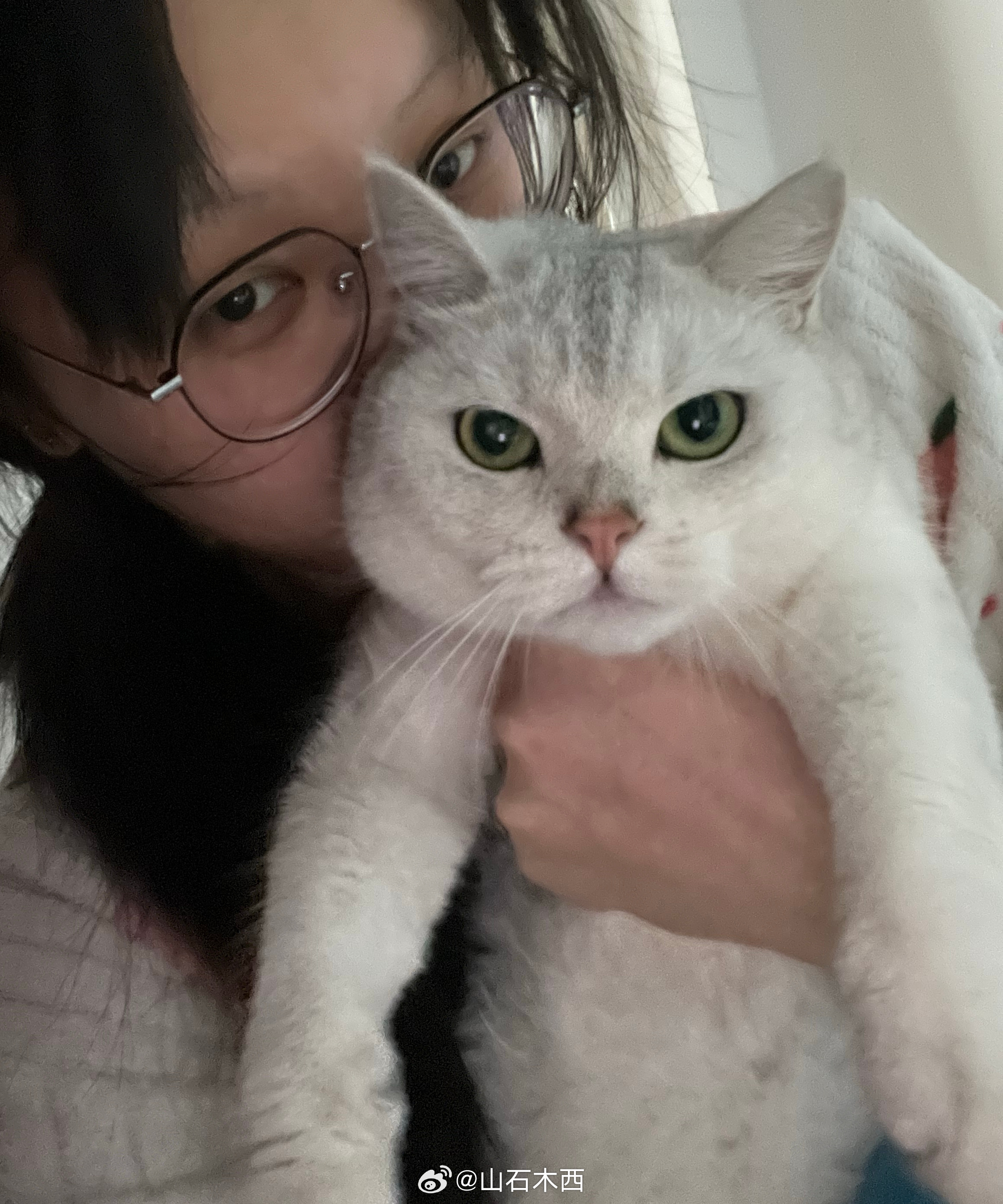 一想到今天是清明节，活人感这么强就有点招笑 ​​​