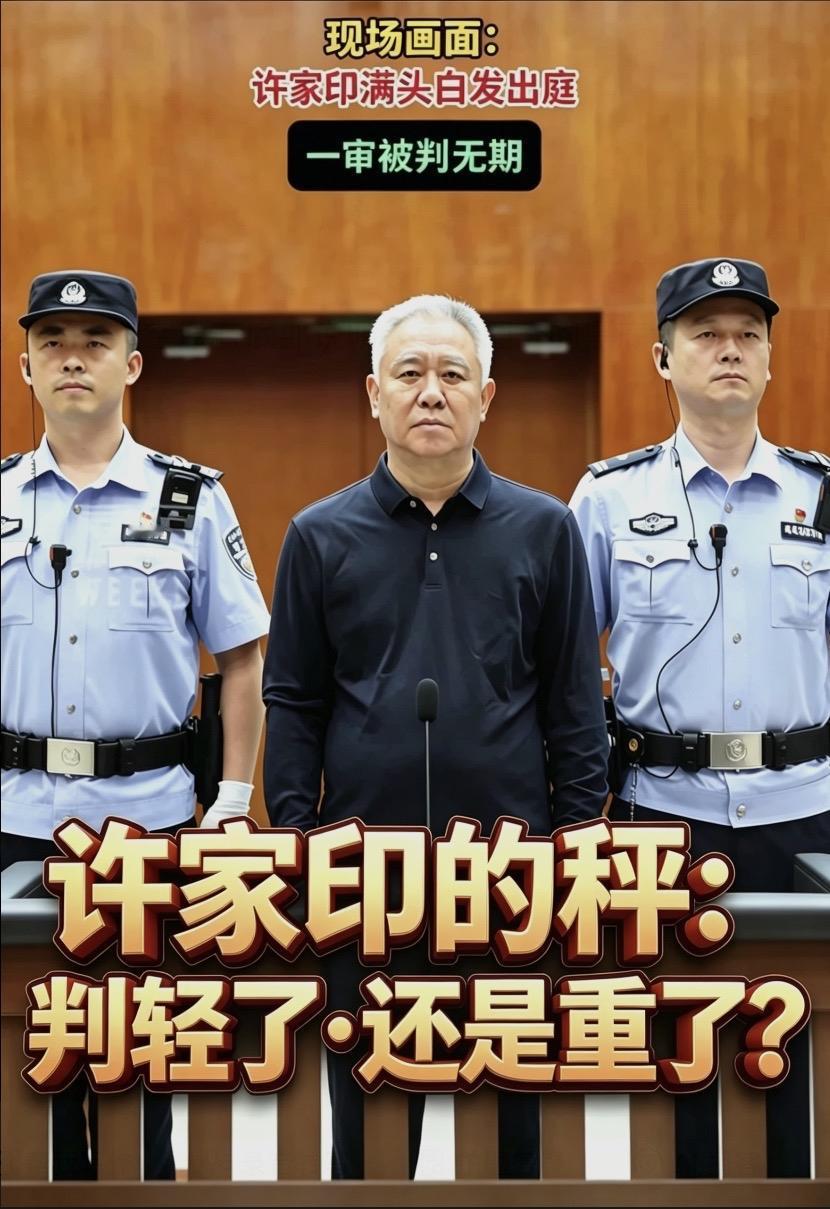 家印的秤：判轻了，还是重了？

这个问题本身，就是一面镜子。

他曾站在风口上，