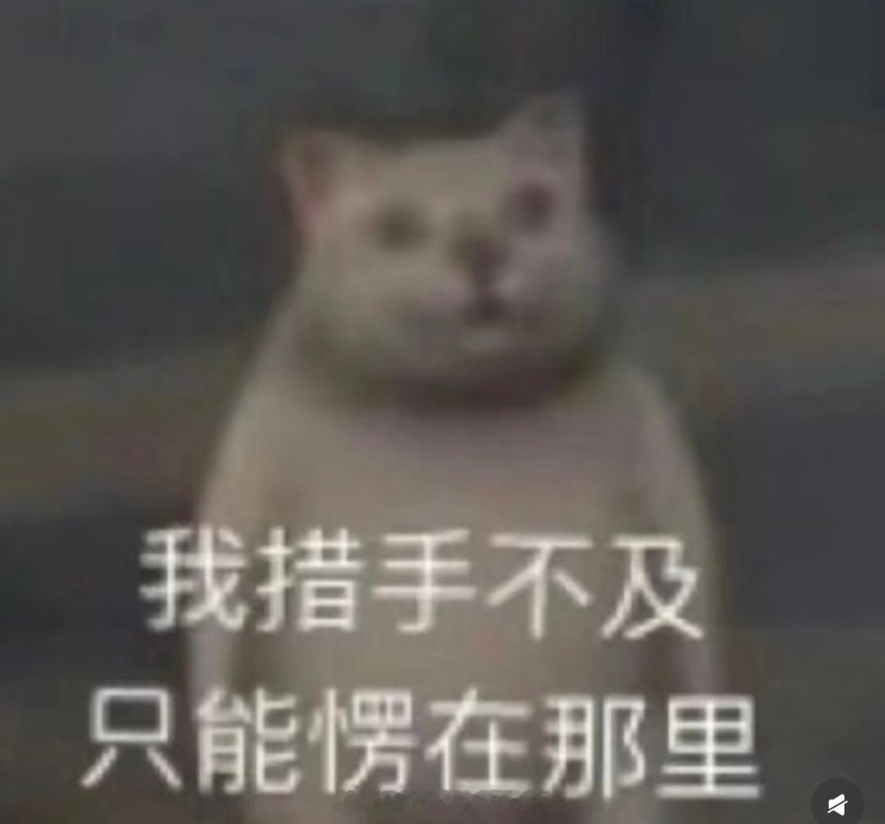 专业人士称纸尿裤生产不会主动添加甲酰胺没人觉得这篇报道的各项数据都很模棱两可吗？