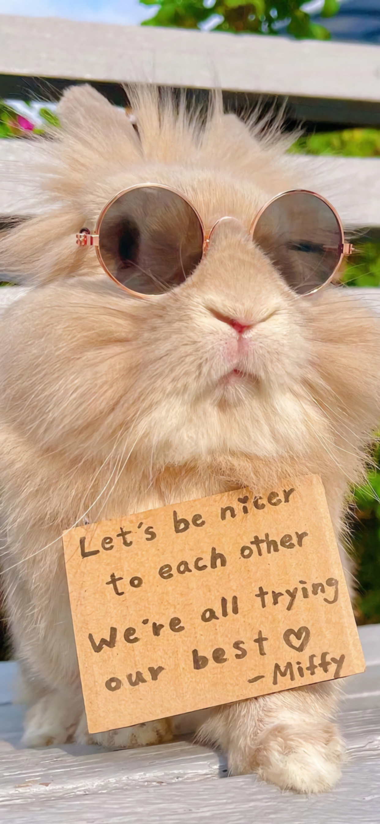 可爱的小兔兔🐰 ​​​