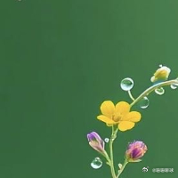 生活手记善待自己最好的方式，就是不勉强自己迎合任何人~ 