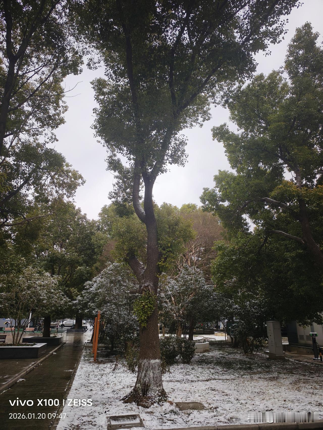 心态彻底被A股玩崩了，不管我买什么股票，整个板块都涨停潮了，看着涨势一片大好，我