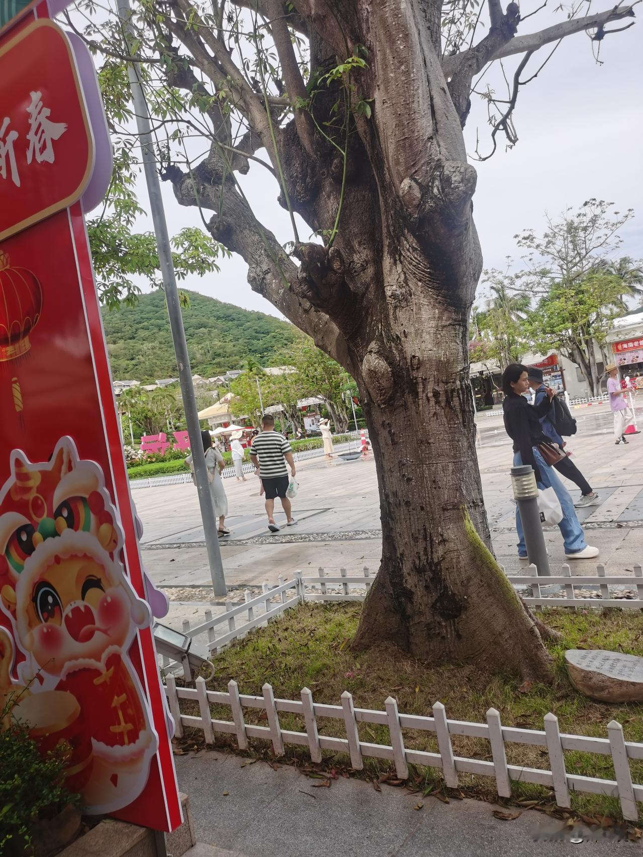为了拍照“出片”的旅游，实在是害人不浅。
“出片”需要花费很多游玩时间，要真效果
