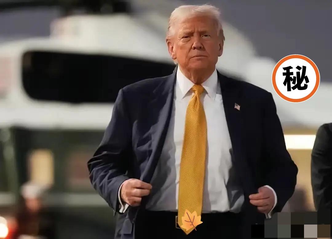 美国传来消息！

2025年11月27日，美国贸易代表办公室发布官方公告，将针对