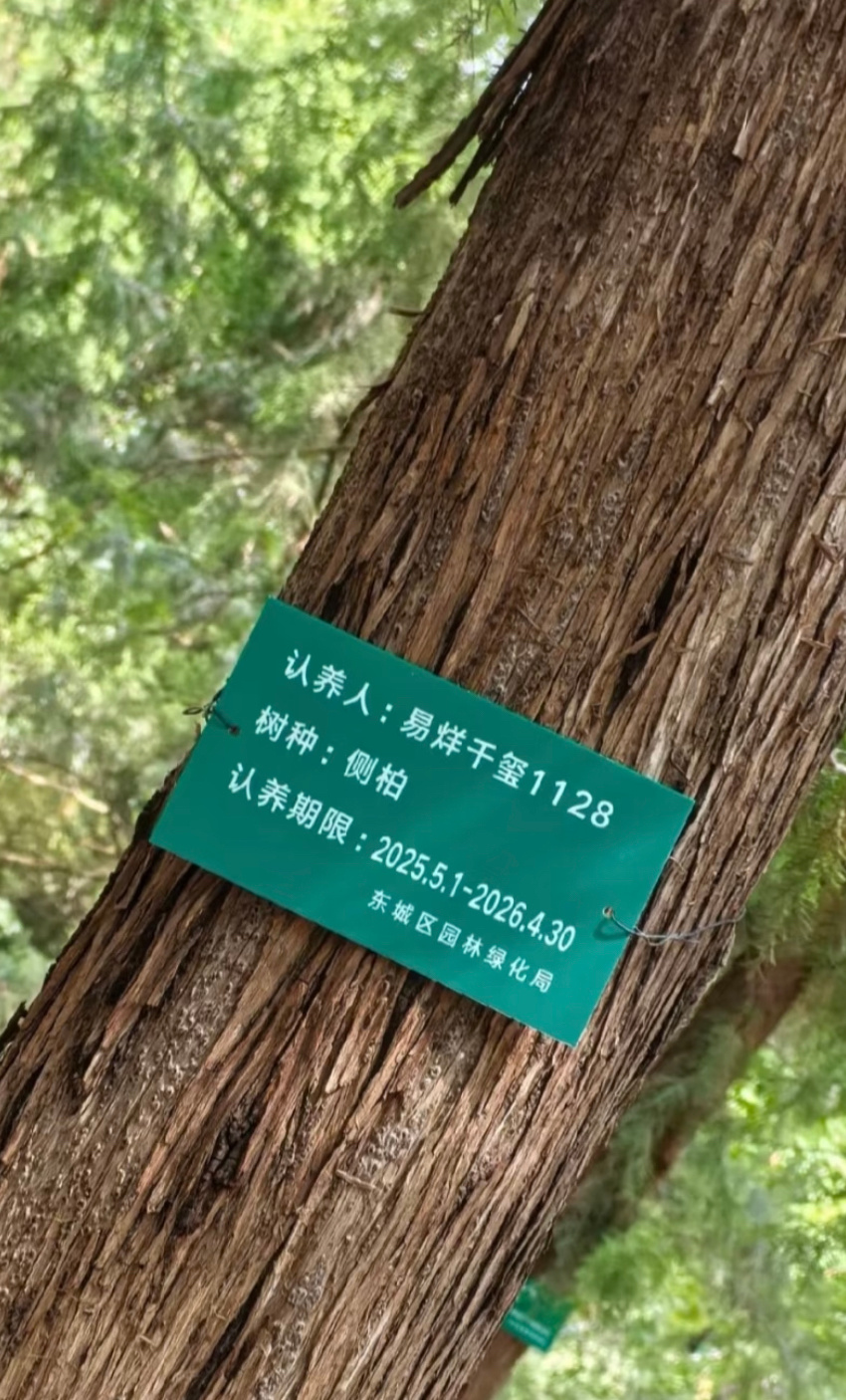 地坛公园不再允许用明星姓名认领树还好之前打卡过了，今后就是绝版了新一期认养期统一