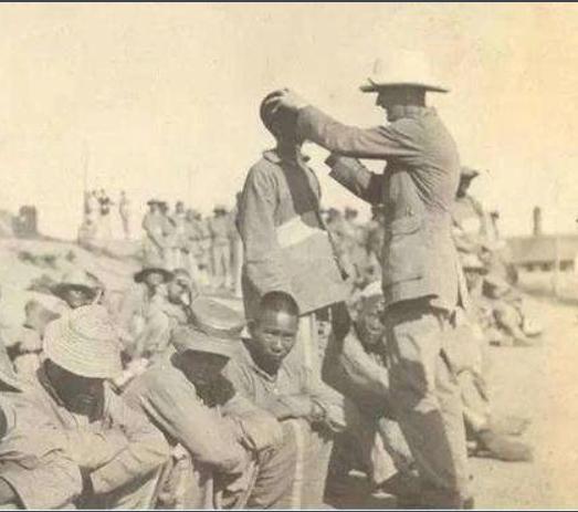 以前看到“猪仔”这俩字，还以为是缅甸诈骗专属称呼，没想到这个称呼从清末就已经出现