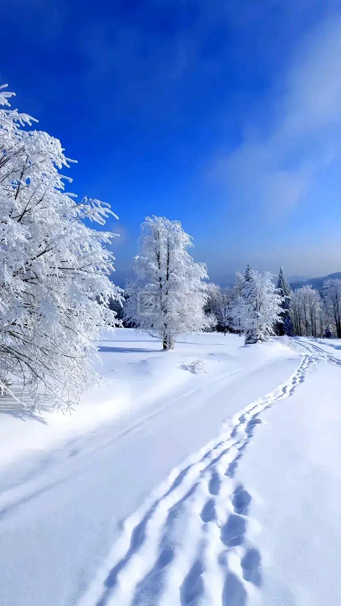 看看你们的雪照雪是纯天然的❄️❄️❄️❄️❄️❄️没有任何添加❄️❄️❄️❄️保