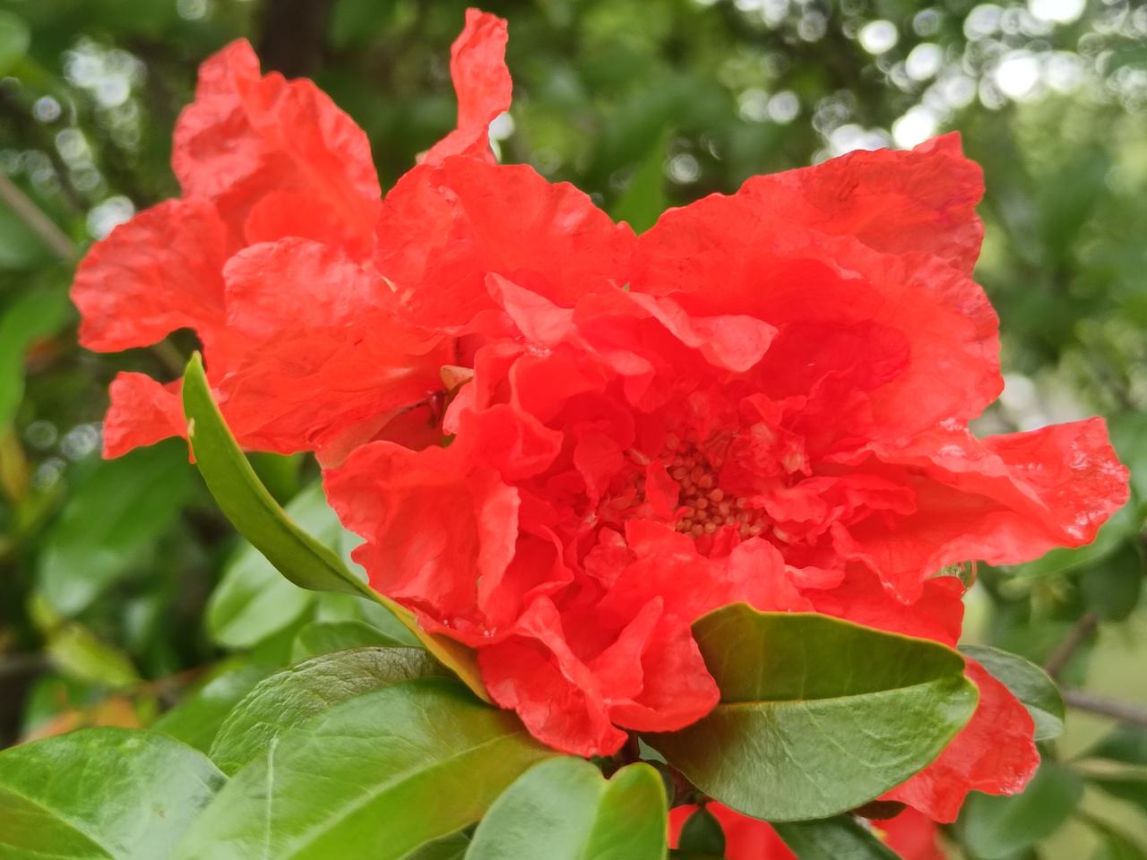 晒出你的本地生活东阳一座1800多年的城市，城中有条江，江两边长达10多公里的江