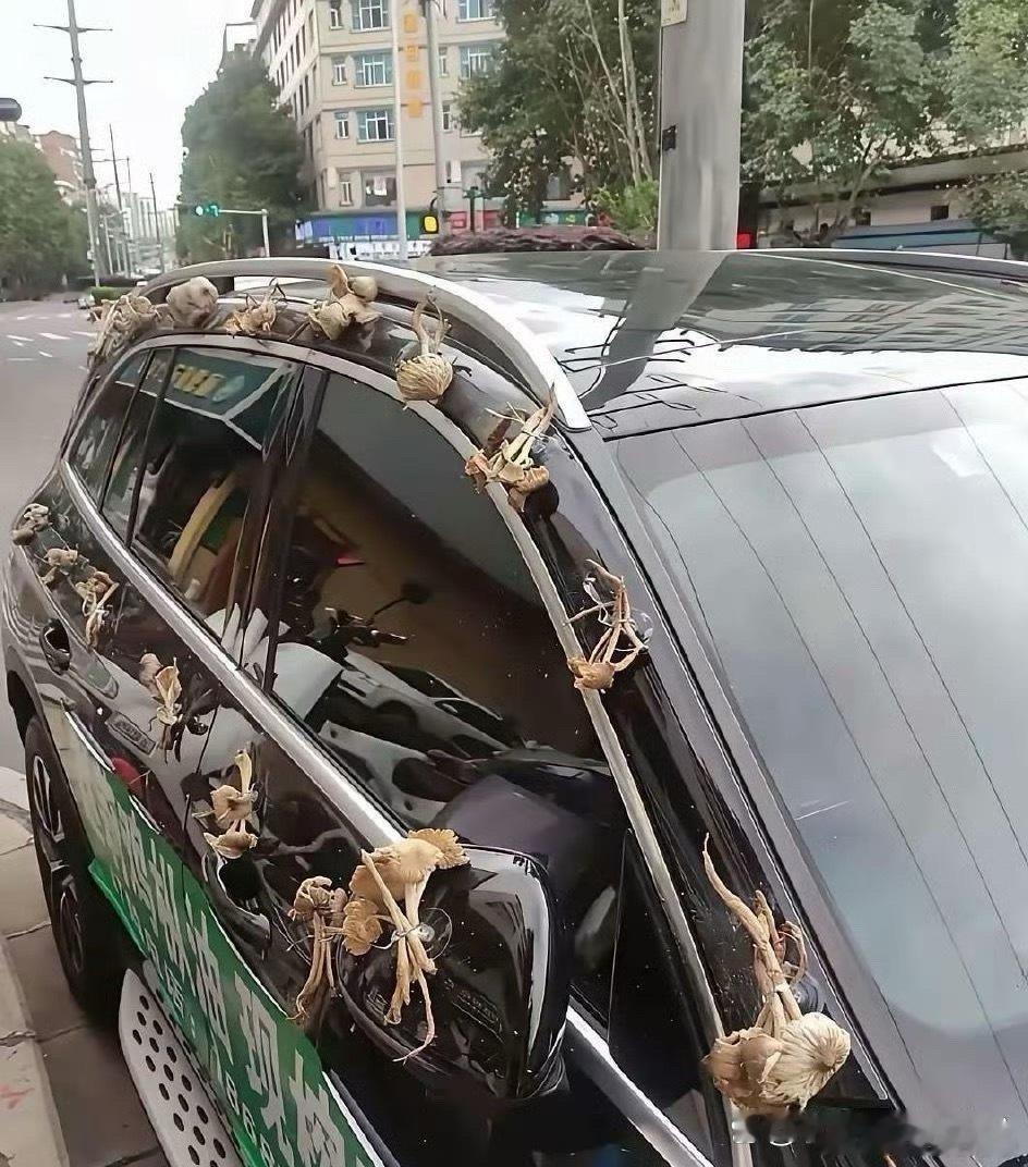 这是是什么习俗？ 