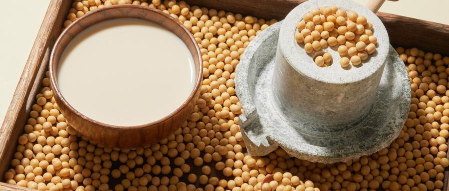 清晨的第一口能量：解锁早餐蛋白质的正确打开方式

清晨的阳光透过厨房窗户，桌上的