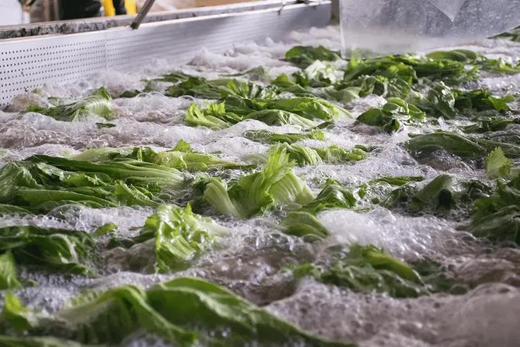 10月26号，有网友把一段视频发到了网上，看完真让人膈应——辽宁葫芦岛兴城市一家