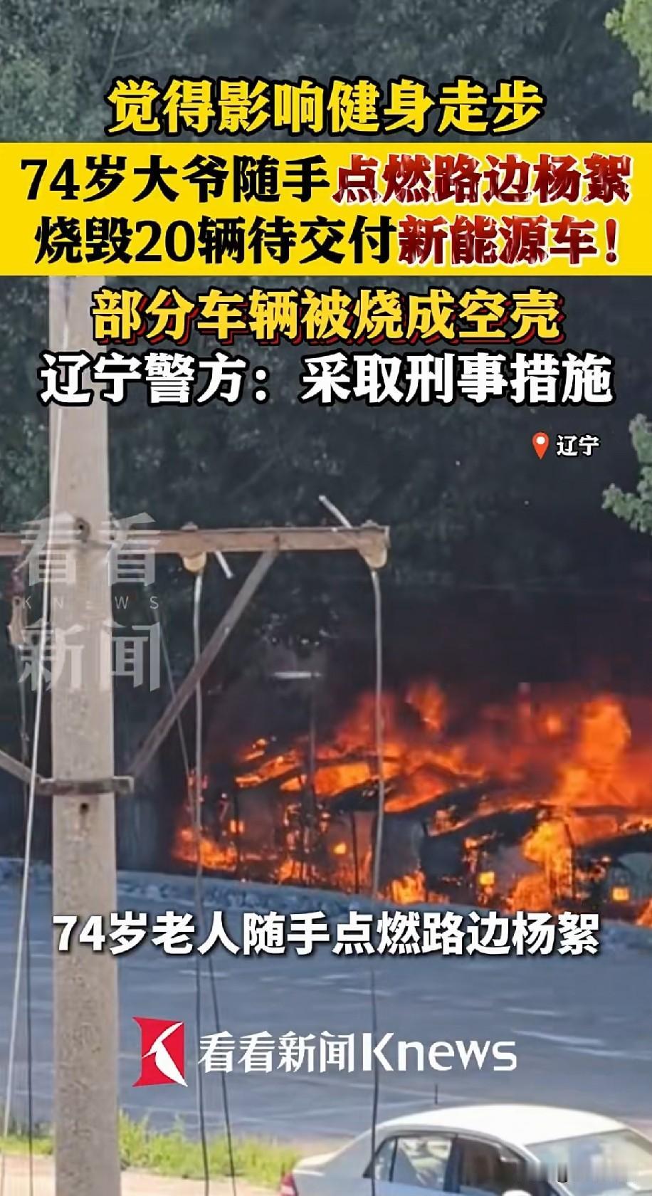 74岁老大爷闯祸了
只因为觉得路边的杨絮，影响了他健身和跑步，就随手点了一下
结