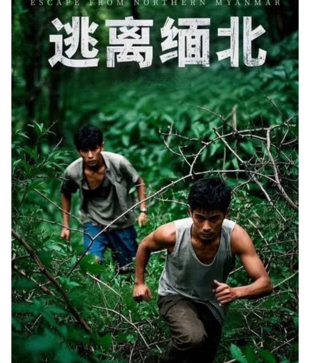 缅北刘家强迫女性吸毒不只是中国人遭殃，全世界的人饱受迫害！！这就是一颗毒瘤 ​​
