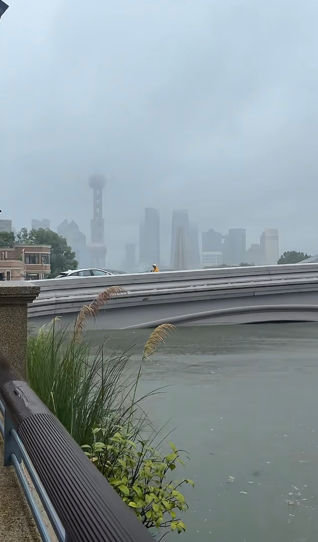黄浦江都满出来了？[惊恐]台风加海啸，上海和浙江太难了[跪了] ​​​