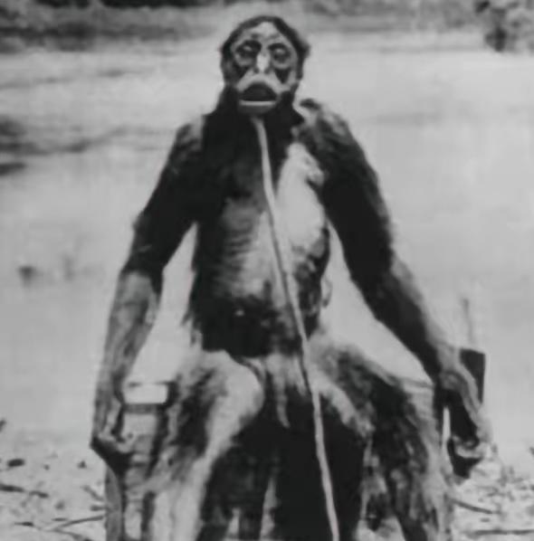 1920年，一位科学家来到委内瑞拉的原始森林勘探资源，结果中途被两只直立行走的猿
