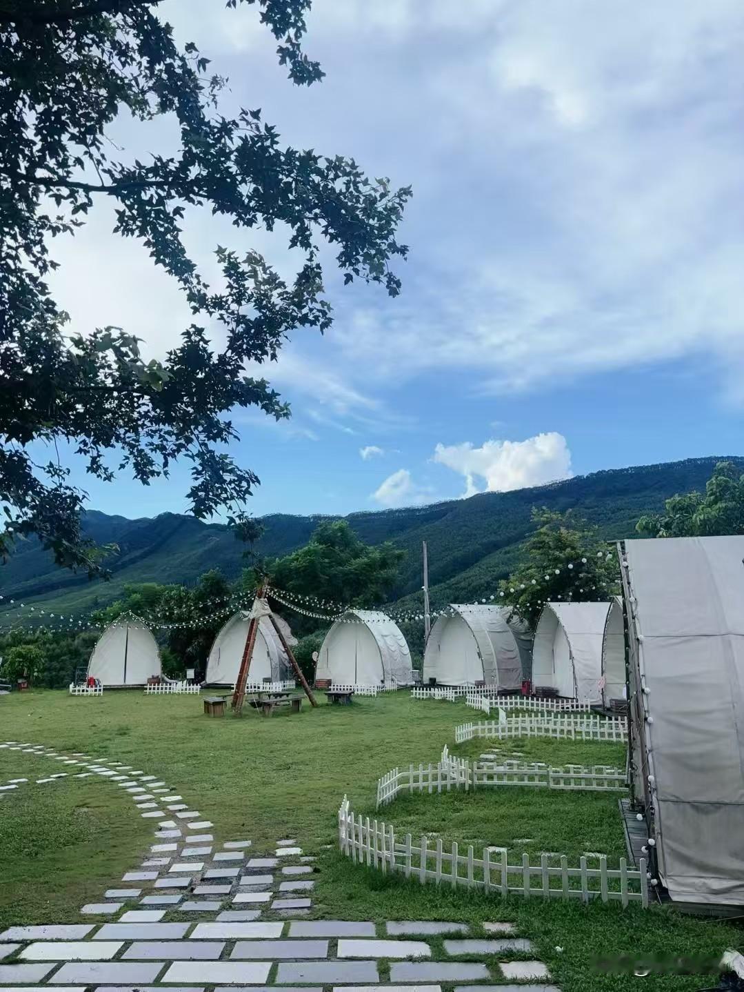 冬日生活打卡季