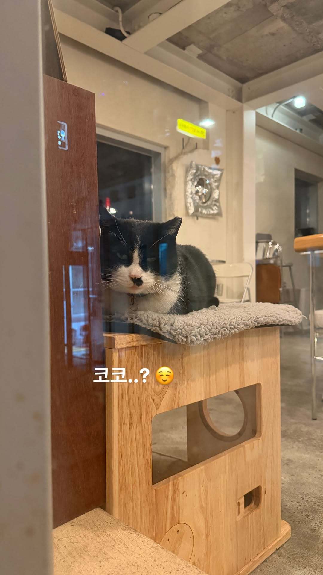 “CB百蓝_。260222金钟云 ins story更新：Coco..? ☺️ 