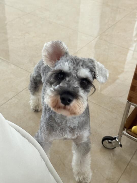 麻，你喊我是吗