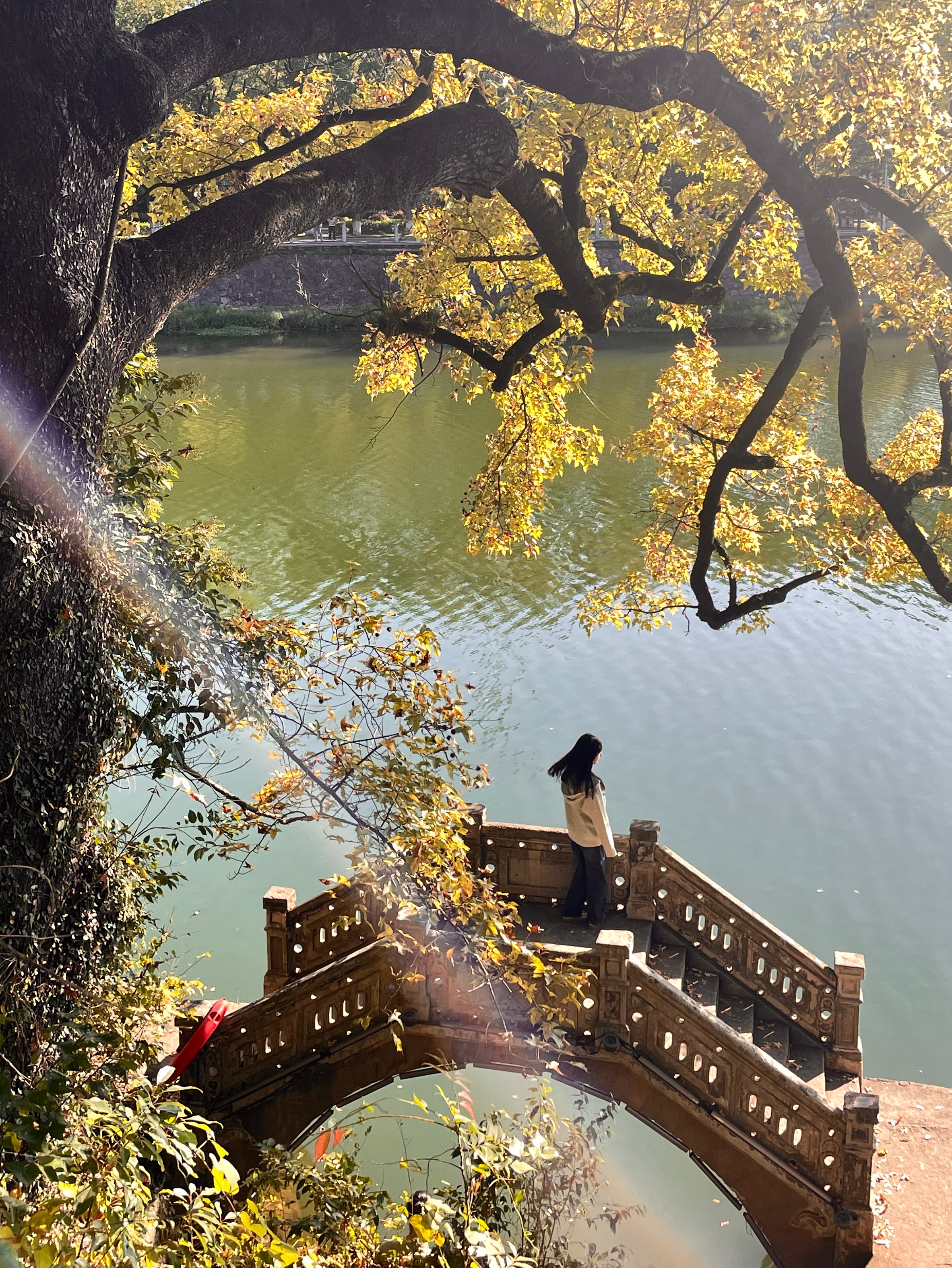 🍂🧶 ​​​