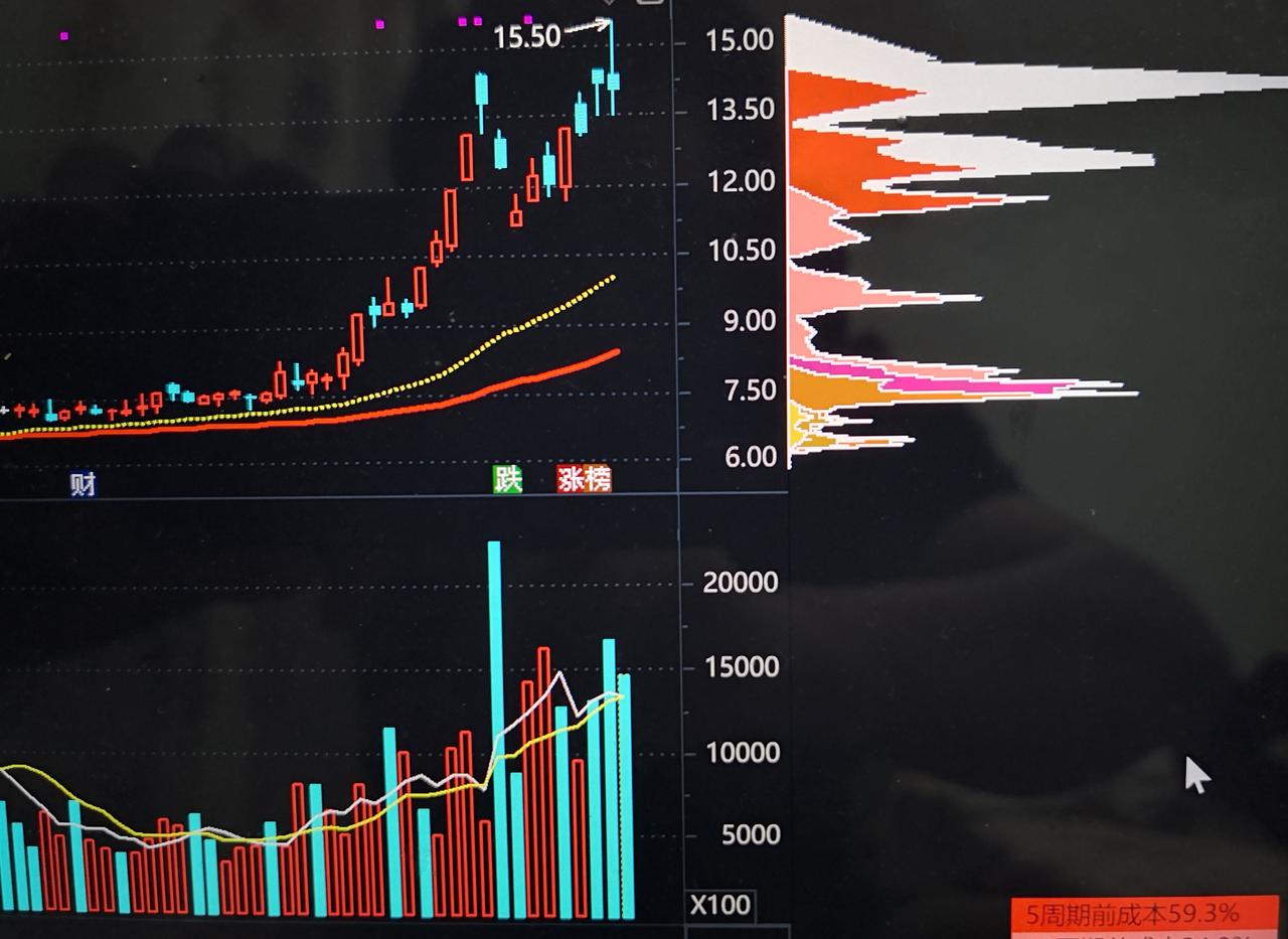沪市的上海WDZ借壳上市，近一个阶段是投资者的热门话题，相关概念股成了热门板块之