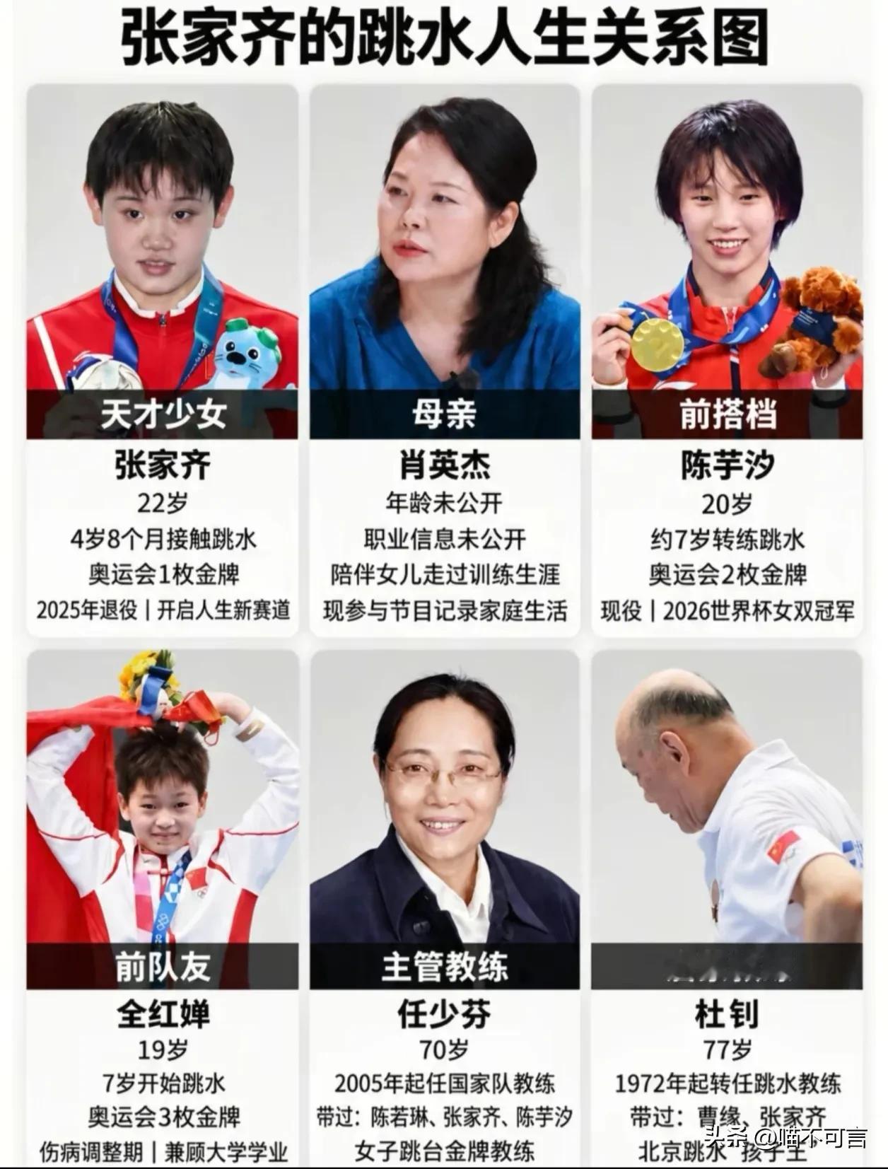 张家齐的跳水人生关系图