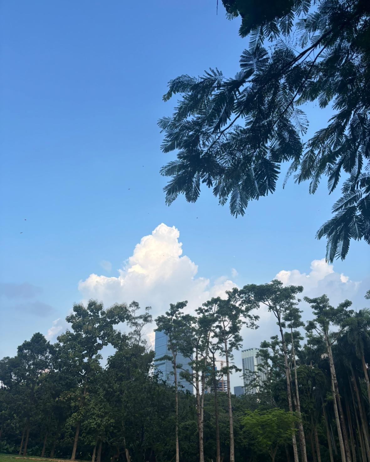 灵活就业+医保，再苦再难我都咬牙坚持交，说个难听的我借钱欠账都把这个交起走的，辛
