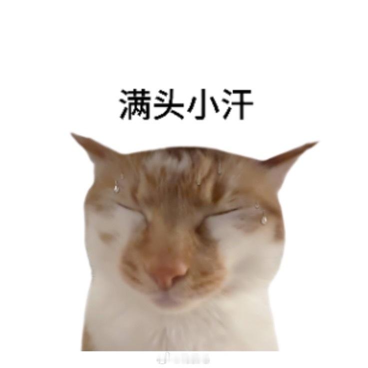 发现旅蛙从温泉出来居然gel头了我不禁感慨你真是我见过最骚的骚货球：不可以讲这个