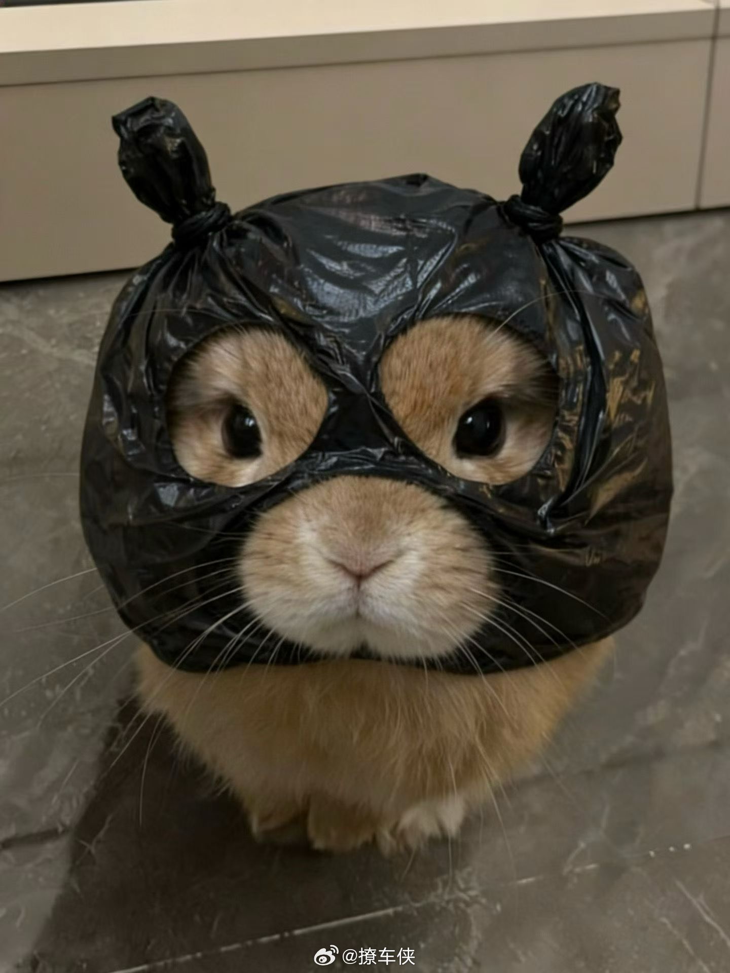 终于把眼睛扒开了一条缝，看到了这个模糊的世界。早安！ 