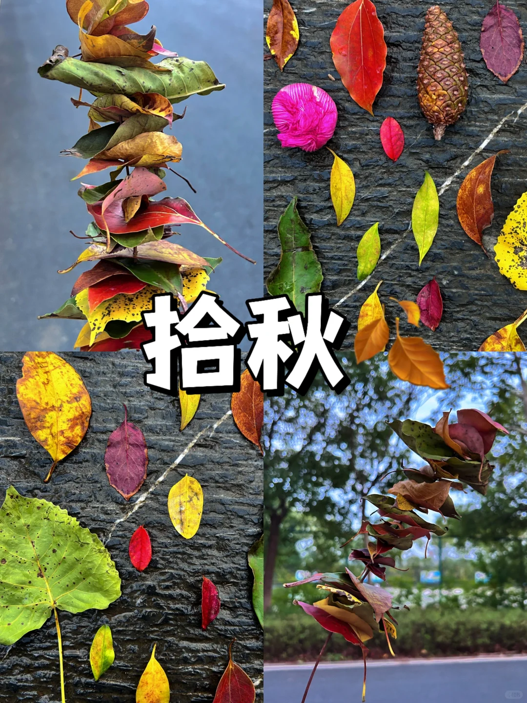 吃炸串吗🍢「来植物园带点伴手礼回家」