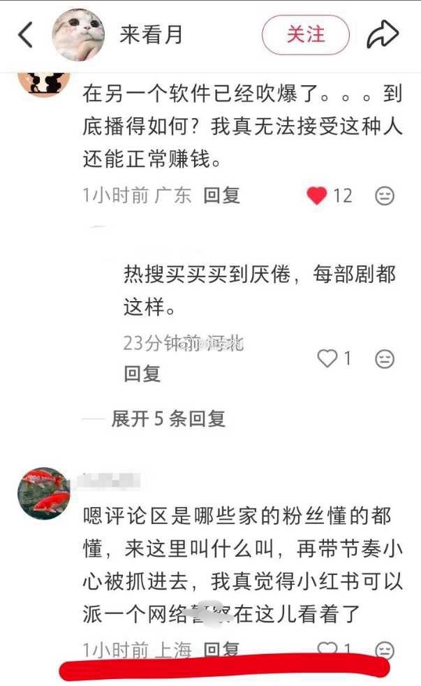 鱼丝的兵分两路一路去威胁书局博主，一路装瓜主 
