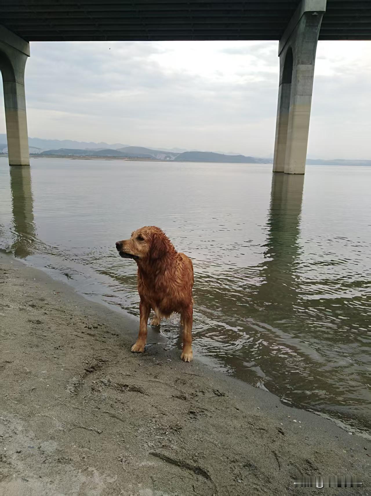 做人要争气！
从这个香港杨姓富豪的话语里，“固守信仰”，说明做人要有信仰，内心不