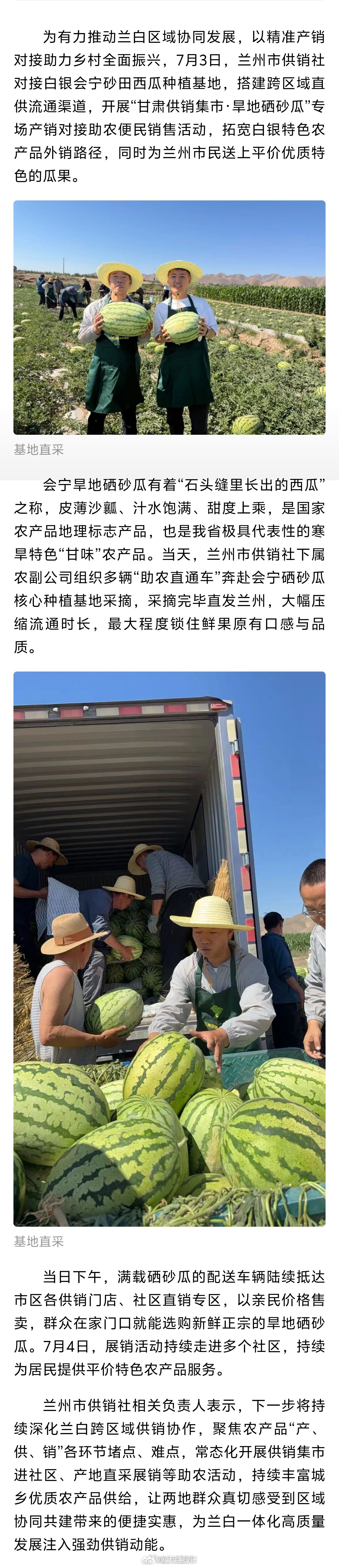 甘肃供销集市旱地硒砂瓜专场助农【基地直采当日配送 平价鲜果送到家门口 兰州市供销