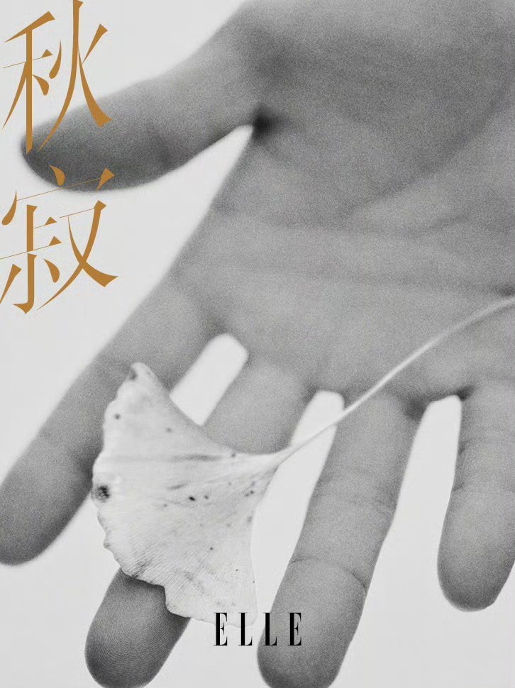 肖战与ELLE的再度携手，以开年刊1月OG封面的形式开启新篇，意义非凡。OG封面