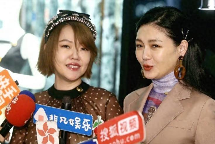 我不算她粉丝，算是康熙来了的粉丝，因为这个节目所以比较关注她和蔡康永。我感觉她属