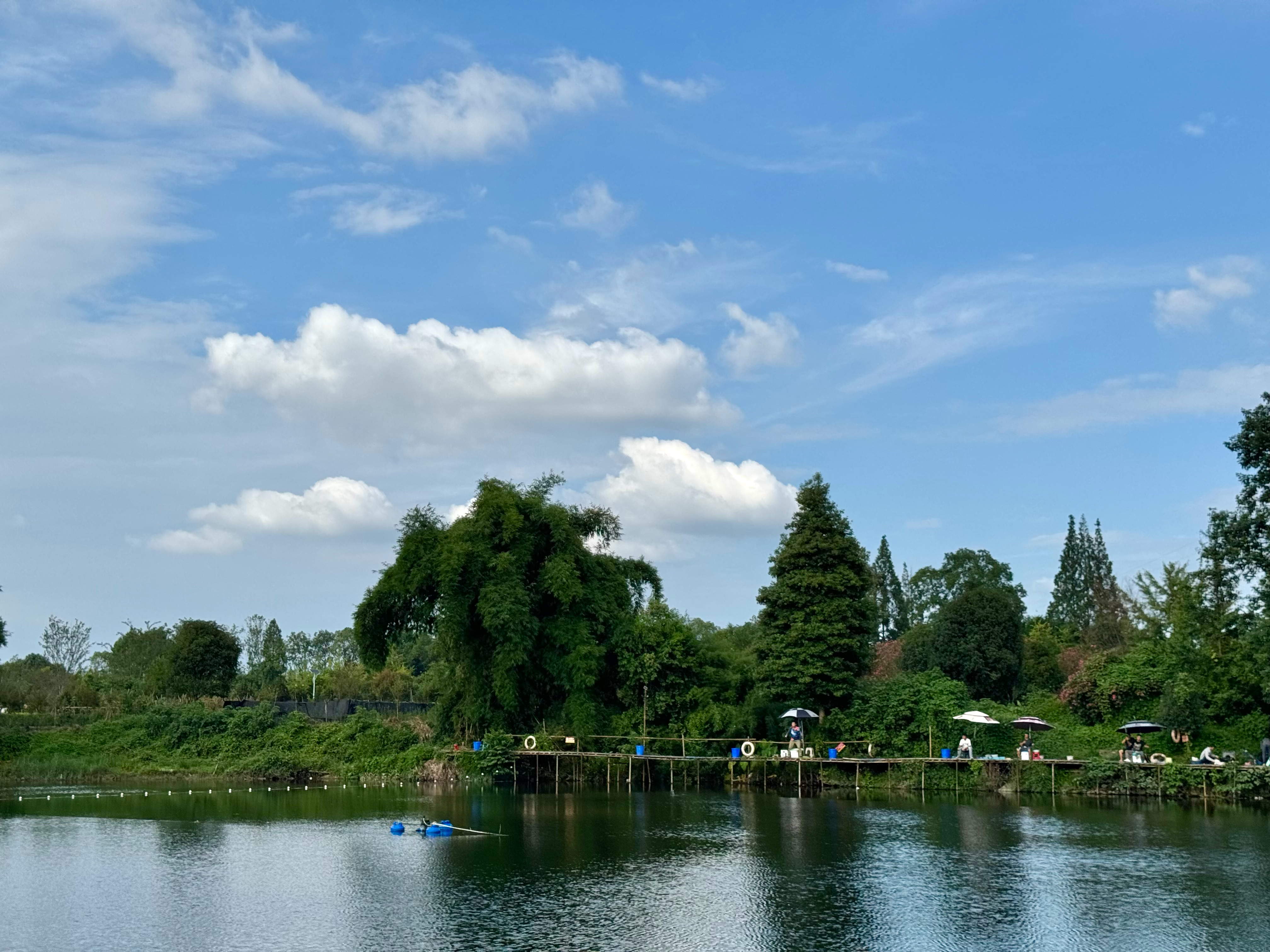静谧乡村，秋风凉爽，周末愉快🎣🌿 ​​​