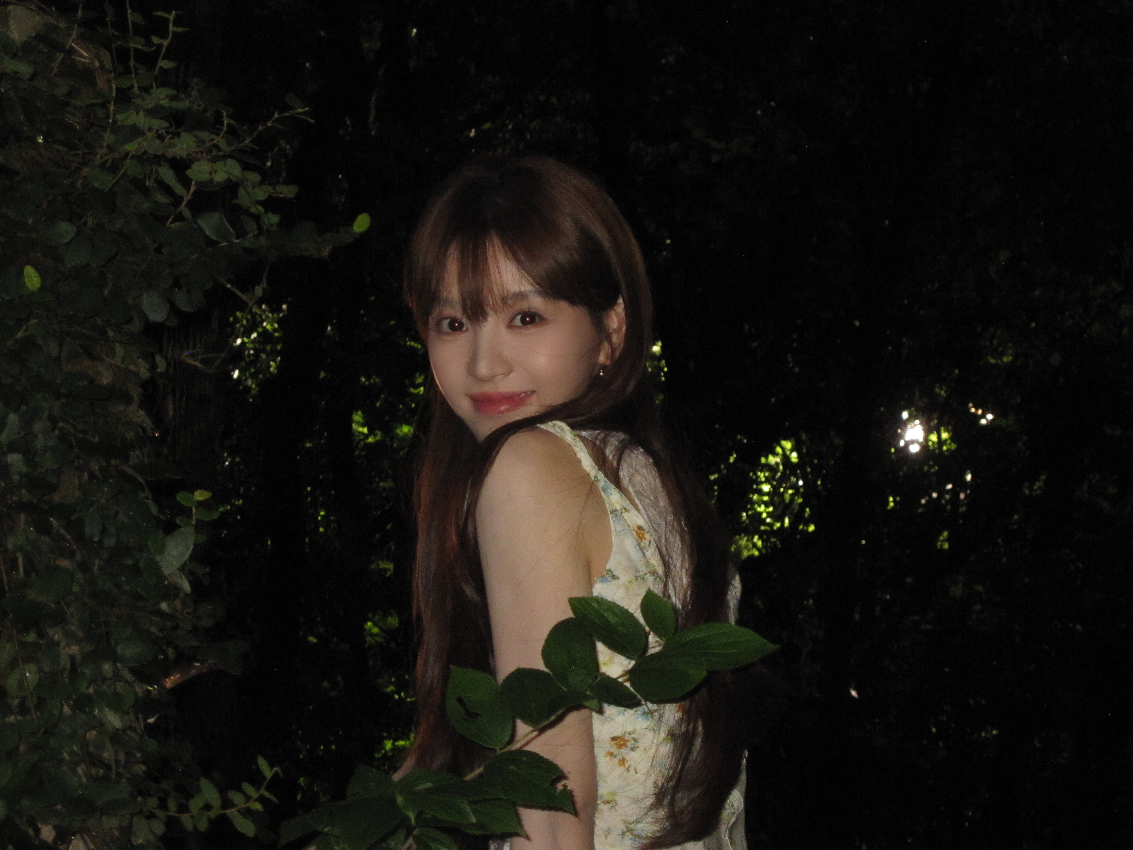 关于你的仲夏夜之梦 