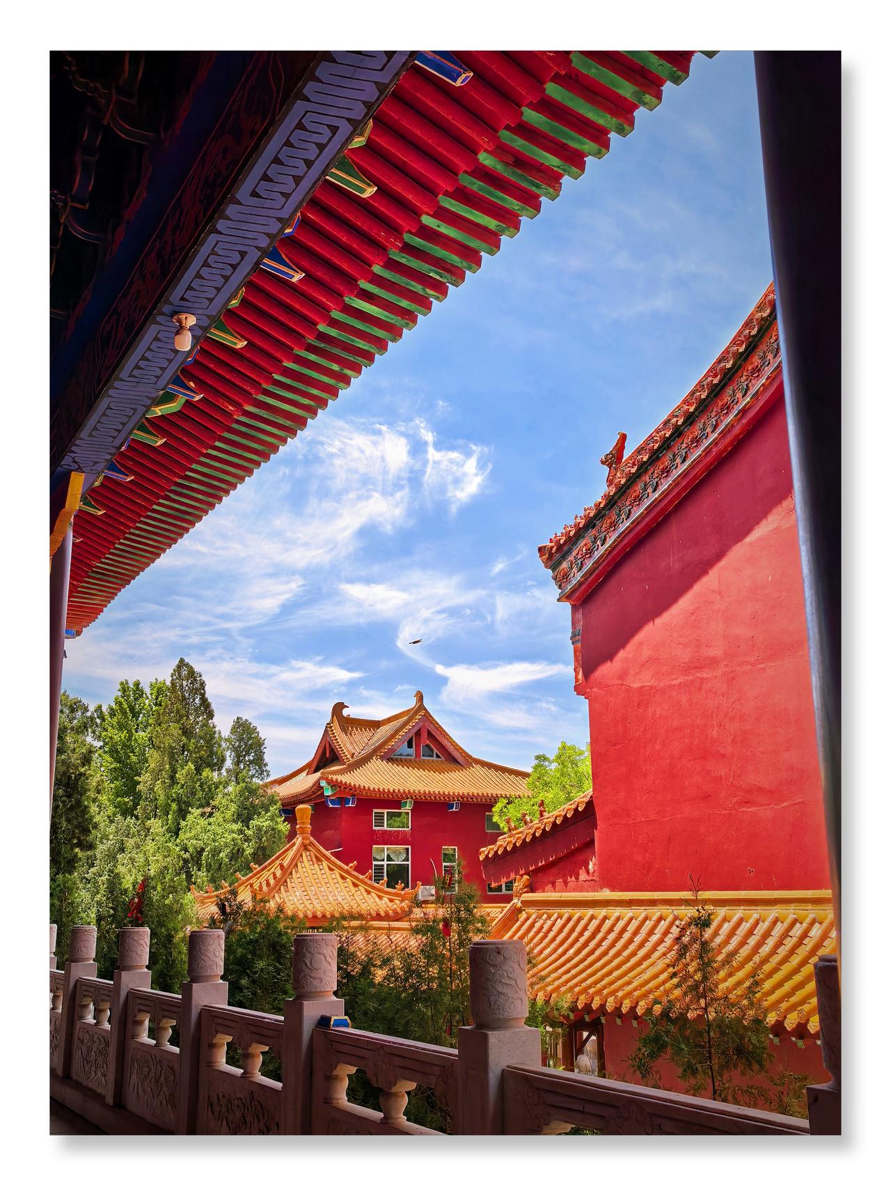 沧州的四月之美你感受到了吗沧州东光铁佛寺