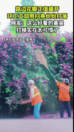 城市就像人一样，都有自己独特的文化。文化底蕴不同，审美取向也各有千秋。成都的街道