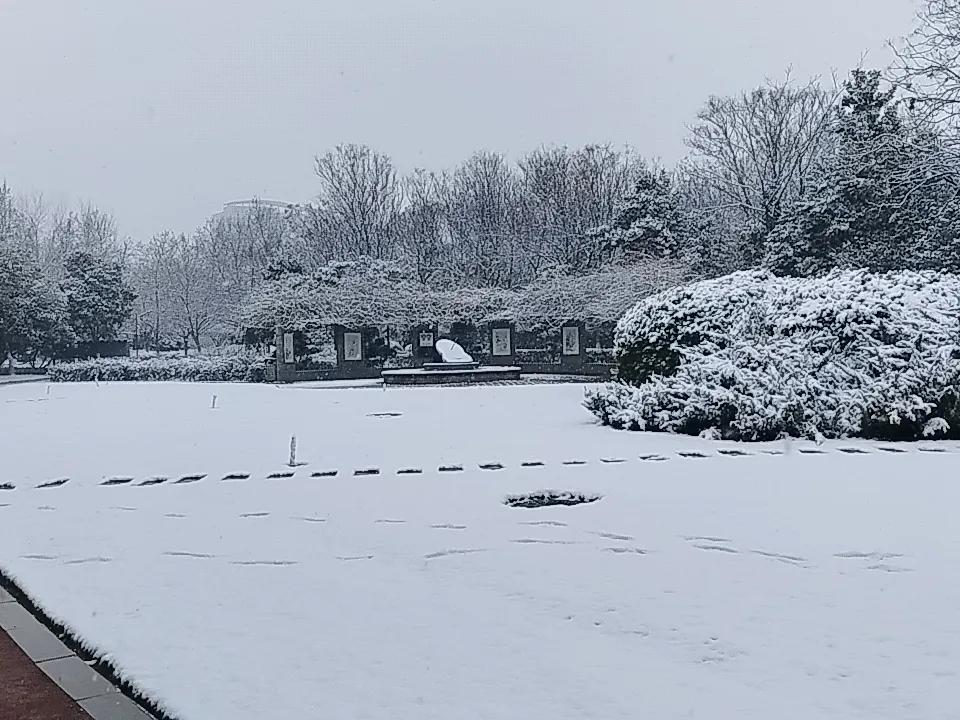 没想到这次雪下的这么大
公园下白了