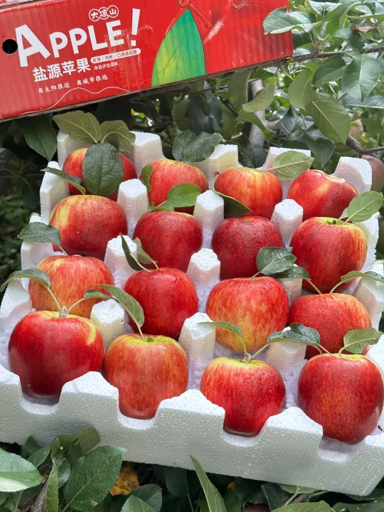 挑战全网最新鲜的苹果❗️