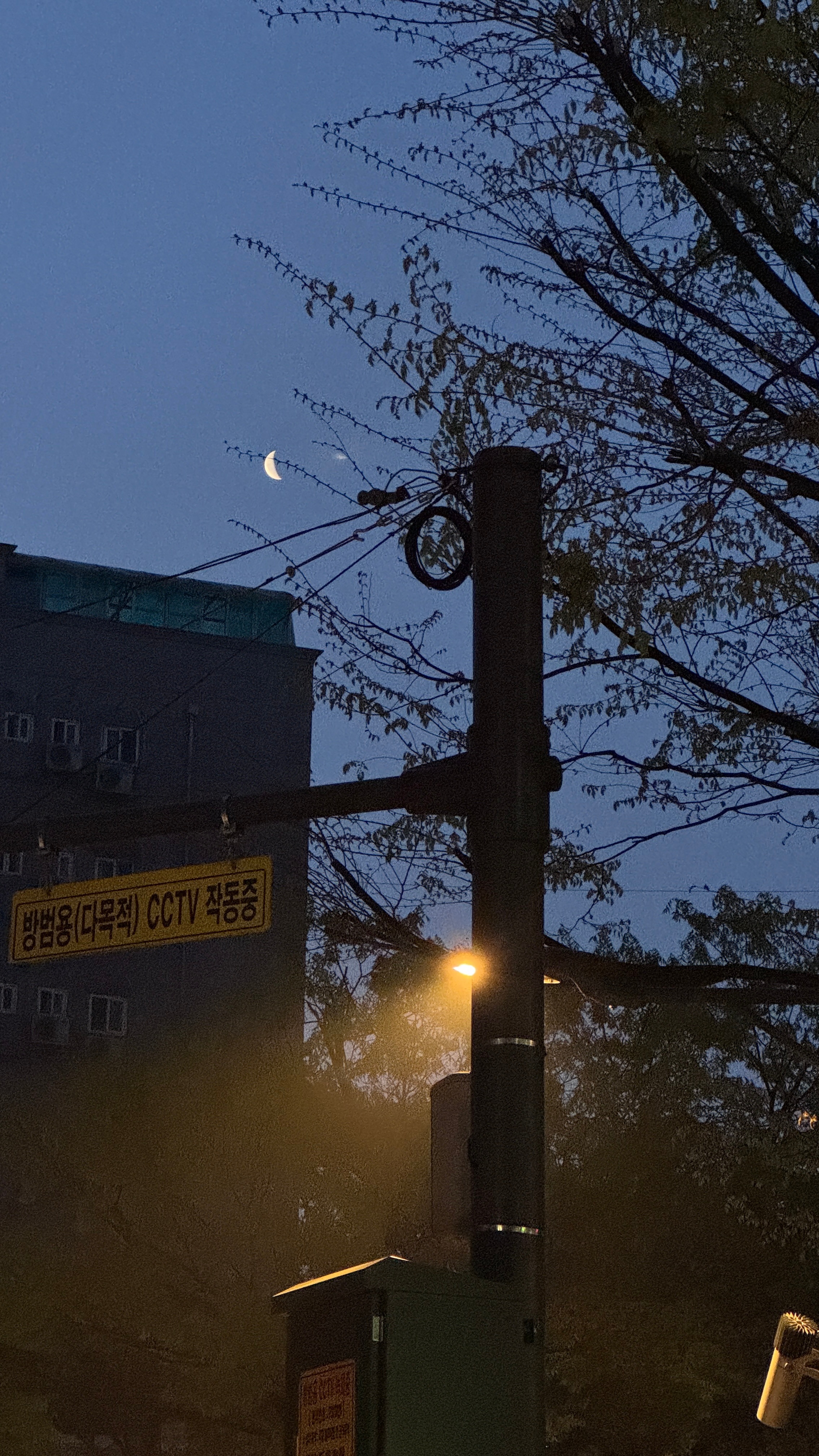早上五点半的小韩 冷飞了出发去机场✈️独加记一 韩国·Seoul korea