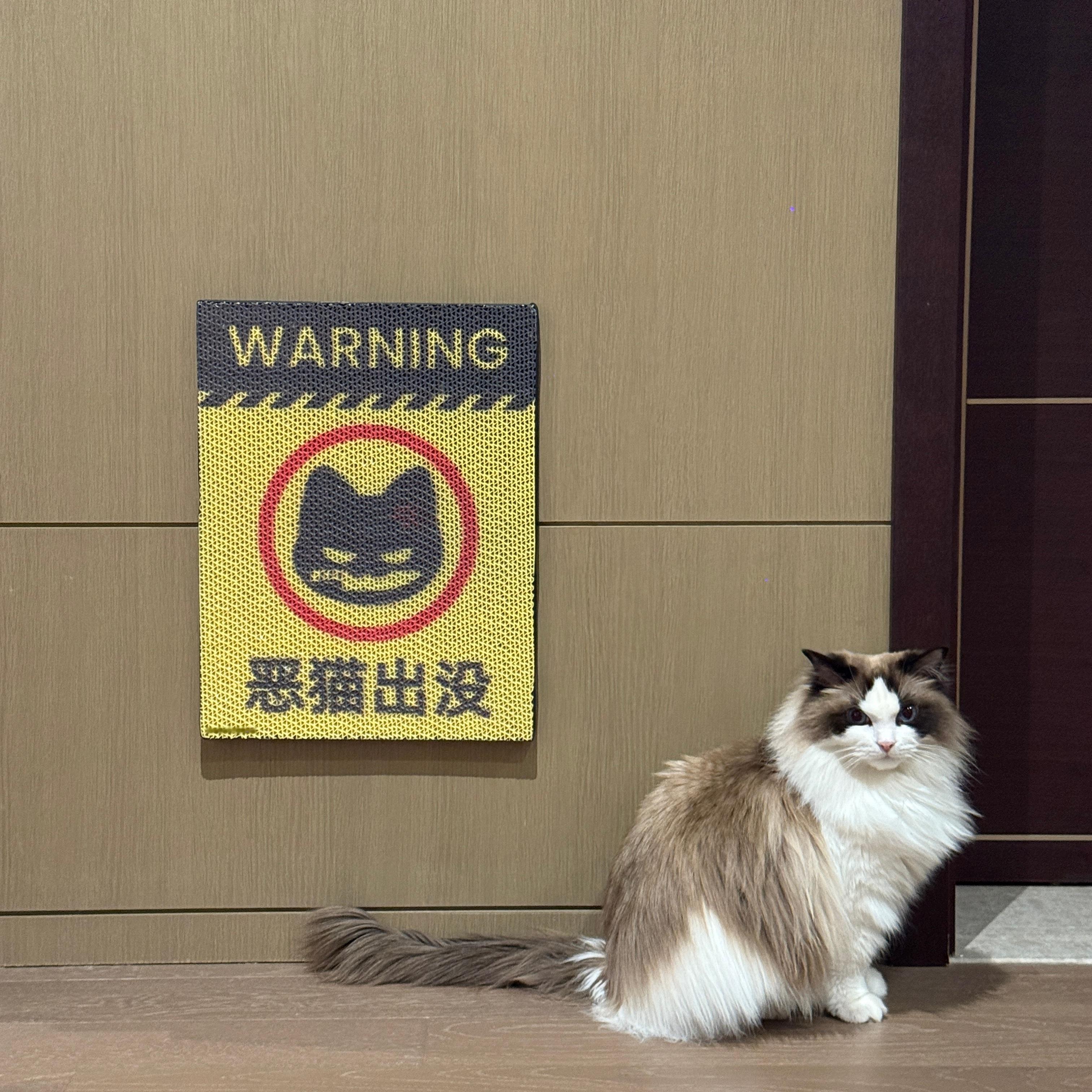 分享图片 ​​​