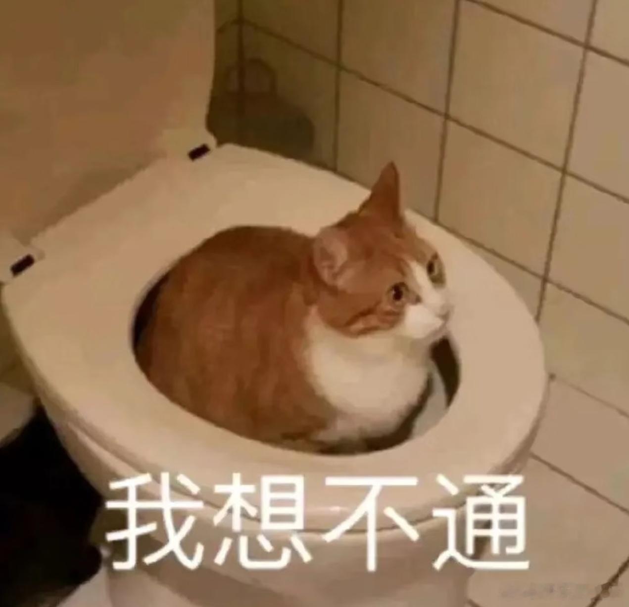 wlbj已拥有自己的养老保险。蔚蓝又王朝了看tes太累了tes你醒了LPL